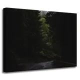 obraz-na-plotnie-natura-droga-mrok-strach-40x30-cm
