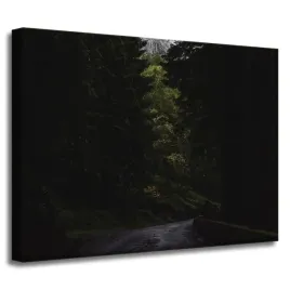 obraz-na-plotnie-natura-droga-mrok-strach-40x30-cm