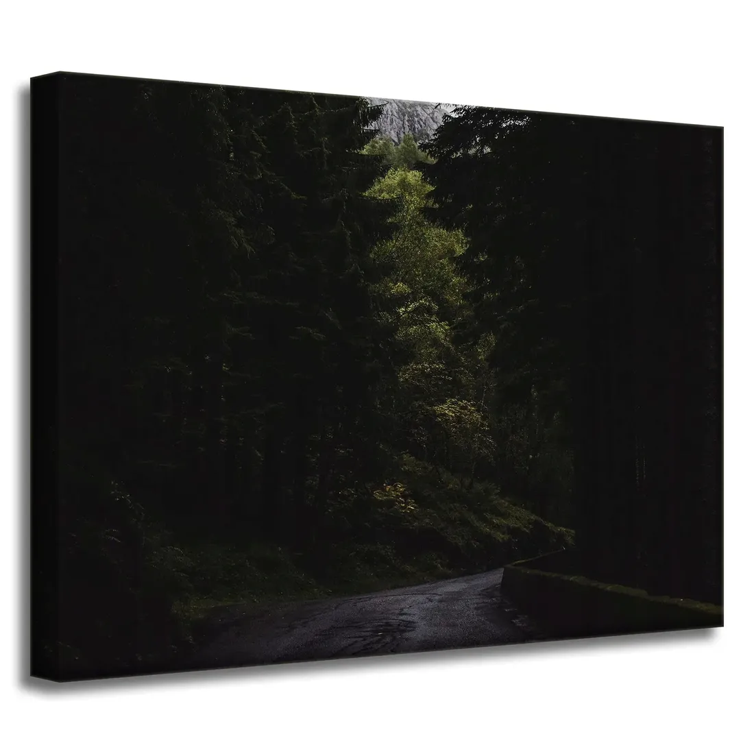 obraz-na-plotnie-natura-droga-mrok-strach-40x30-cm-stan-nowy