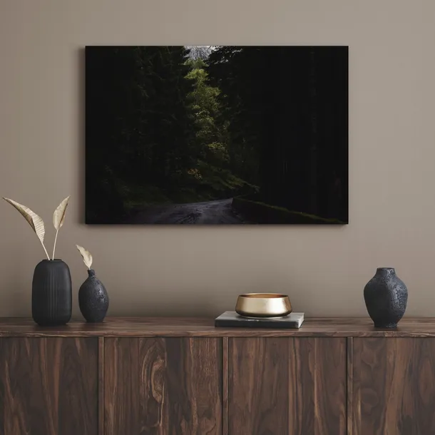 obraz-na-plotnie-natura-droga-mrok-strach-40x30-cm-sposob-wykonania-druk-cyfrowy