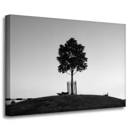 obraz-na-plotnie-natura-drzewo-czarno-biale-70x50