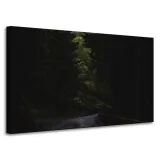 obraz-na-plotnie-natura-droga-mrok-strach-100x60