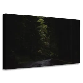 obraz-na-plotnie-natura-droga-mrok-strach-100x60