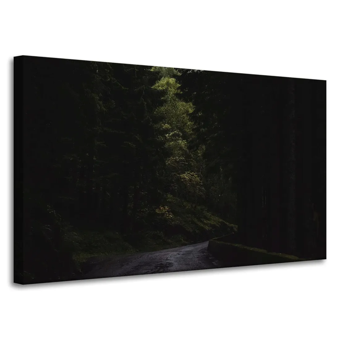 obraz-na-plotnie-natura-droga-mrok-strach-100x60-stan-nowy