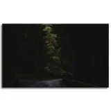 obraz-na-plotnie-natura-droga-mrok-strach-100x60-stan-nowy