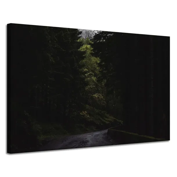 obraz-na-plotnie-natura-droga-mrok-strach-120x80