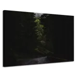 obraz-na-plotnie-natura-droga-mrok-strach-120x80
