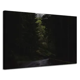 obraz-na-plotnie-natura-droga-mrok-strach-120x80