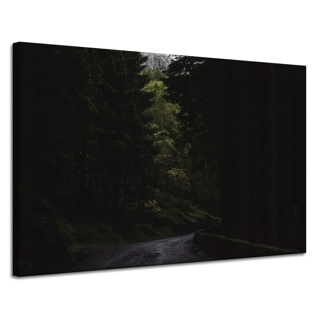obraz-na-plotnie-natura-droga-mrok-strach-120x80-stan-nowy