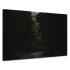 Kolor / wzór produktu #13