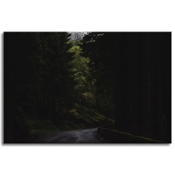 obraz-na-plotnie-natura-droga-mrok-strach-120x80-stan-nowy