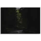 obraz-na-plotnie-natura-droga-mrok-strach-120x80-stan-nowy