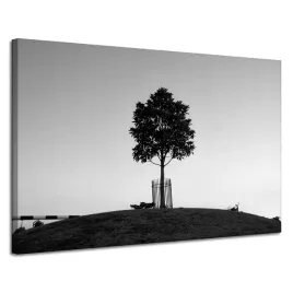 obraz-na-plotnie-natura-drzewo-czarno-biale-120x80