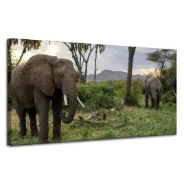 obrazy-na-plotnie-zwierzeta-grupa-sloni-120x60-cm
