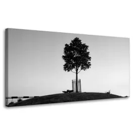 obraz-na-plotnie-natura-drzewo-czarno-biale-80x40