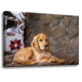 obraz-na-plotnie-zwierzeta-uroczy-piesek-60x40-cm