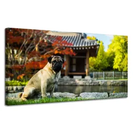 obrazy-na-plotnie-zwierzeta-piesek-pies-120x60-cm