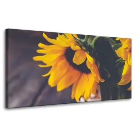 obraz-na-plotnie-kwiat-botanika-sloneczniki-80x40