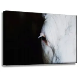 obrazy-na-plotnie-zwierzeta-oko-konia-60x40-cm