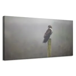 obraz-na-plotnie-zwierzeta-jastrzab-ptak-120x60-cm