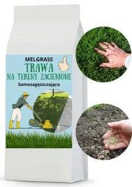trawa-do-cienia-melgrass-pod-drzewa-60kg-park-brak-slonca-do-parku-2400m2