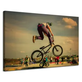 obraz-na-plotnie-rower-bmx-sport-dh-zabawa-120x80