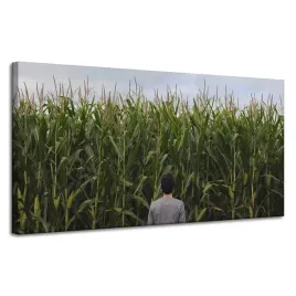 obraz-na-plotnie-natura-pole-kukurydzy-120x60-cm