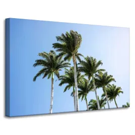 obraz-na-plotnie-natura-palmy-slonce-90x60-cm