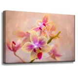obraz-na-plotnie-botanika-storczyk-orchidea-60x40