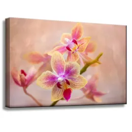 obraz-na-plotnie-botanika-storczyk-orchidea-60x40