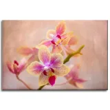 obraz-na-plotnie-botanika-storczyk-orchidea-60x40-stan-nowy