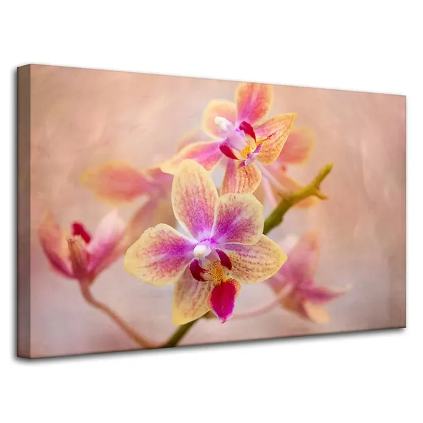 obraz-na-plotnie-botanika-storczyk-orchidea-80x50