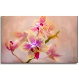 obraz-na-plotnie-botanika-storczyk-orchidea-80x50-stan-nowy