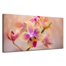 obraz-na-plotnie-botanika-storczyk-orchidea-120x60