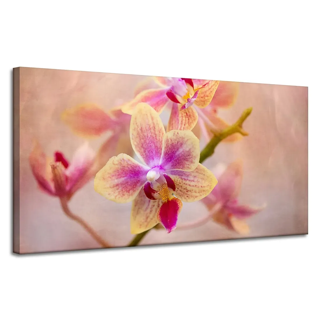 obraz-na-plotnie-botanika-storczyk-orchidea-120x60-stan-nowy