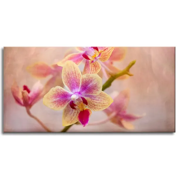 obraz-na-plotnie-botanika-storczyk-orchidea-120x60-stan-nowy