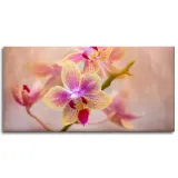 obraz-na-plotnie-botanika-storczyk-orchidea-120x60-stan-nowy