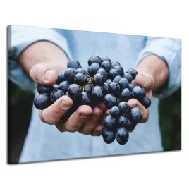 obrazy-na-plotnie-kuchnia-kisc-winogron-120x80-cm