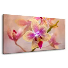 obraz-na-plotnie-botanika-storczyk-orchidea-80x40