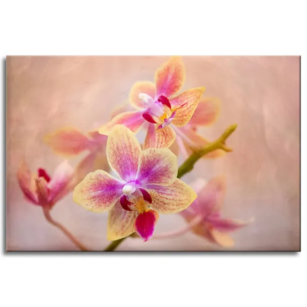 obraz-na-plotnie-botanika-storczyk-orchidea-90x60-stan-nowy