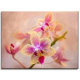 obraz-na-plotnie-botanika-storczyk-orchidea-40x30-stan-nowy