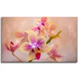 obraz-na-plotnie-botanika-storczyk-orchidea-100x60-stan-nowy