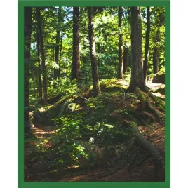ramka-zielona-40x50-cm-foto-rama-na-zdjecia