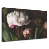 obrazy-na-plotnie-botanika-biale-piwonie-80x50-cm