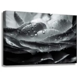 obraz-na-plotnie-botanika-kwiat-krople-rosy-60x40