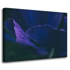 obrazy-na-plotnie-botanika-fioletowe-platki-70x50