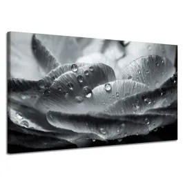 obraz-na-plotnie-botanika-kwiat-krople-rosy-120x70