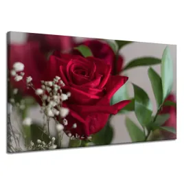 obrazy-na-plotnie-botanika-czerwone-roze-120x70-cm