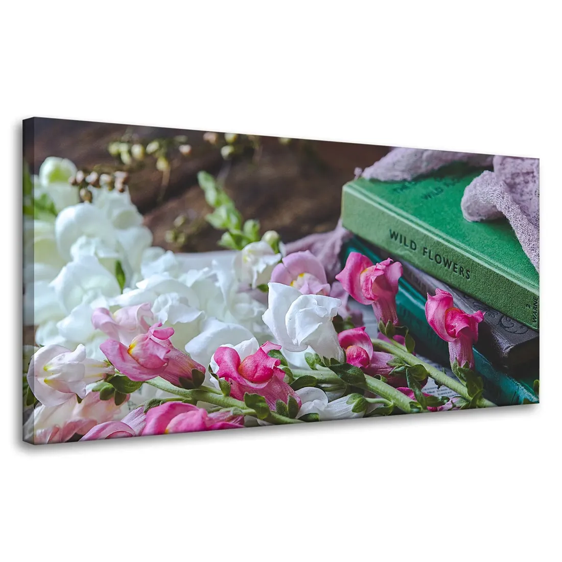 obrazy-na-plotnie-botanika-lwie-paszcze-80x40-cm-stan-nowy