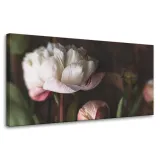 obrazy-na-plotnie-botanika-biale-piwonie-80x40-cm